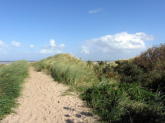 IMG 2756 Strand in Sicht!