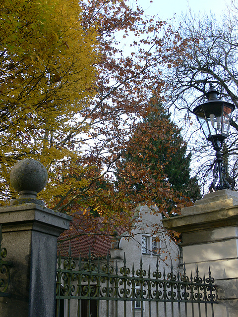 Herbst am Schlosspark