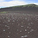 Craters of the Moon National Monument, ID (2a)