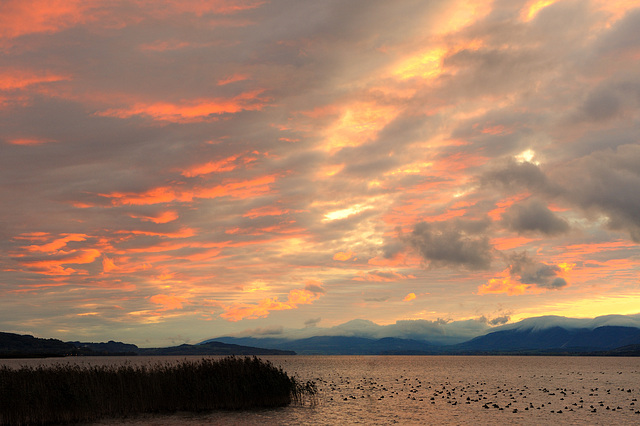 Couleurs d'un soir sur le lac...