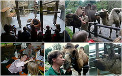 Zoo Dresden - Tag der offenen Tür 18.09.2011