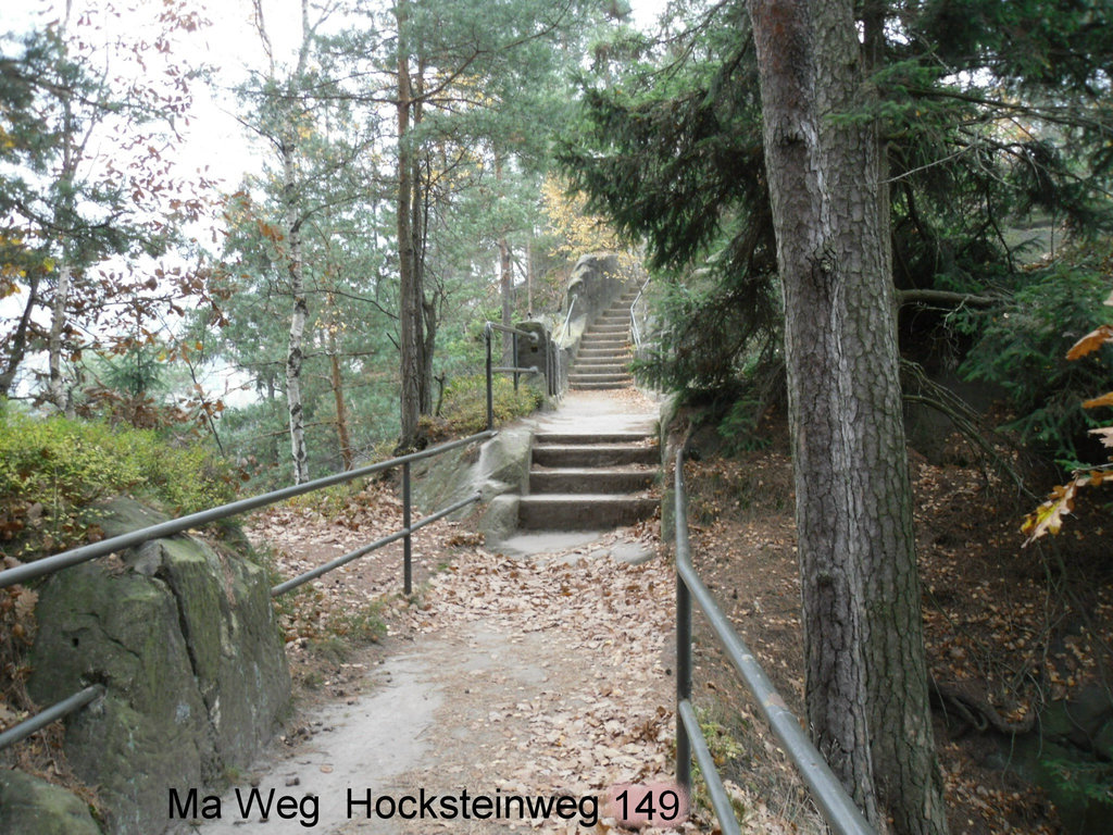 SDC10451