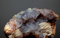 fluorite mauve (2)