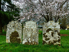 sawbridgeworth church, herts.