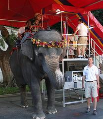 L.A. County Fair (0937)