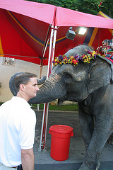 L.A. County Fair (0940)