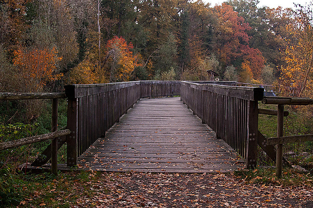 20111031 6787RAw [D~LIP] Werre-Brücke, UWZ, Bad Salzuflen