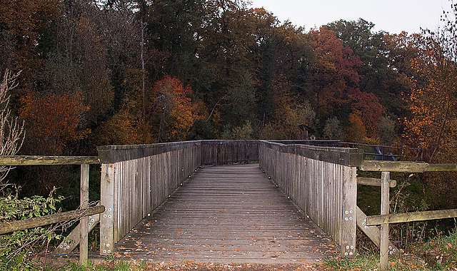 20111031 6786RAw [D~LIP] Werre-Brücke, UWZ, Bad Salzuflen