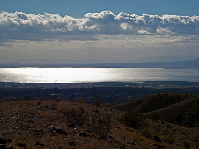 Salton Sea (1637)