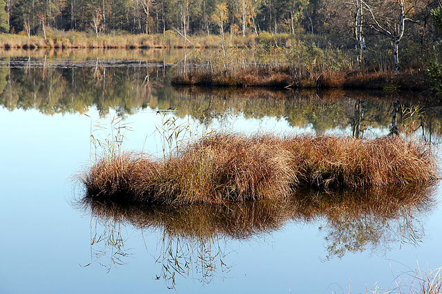 Wasserspiegel im Bad Wurzacher Ried