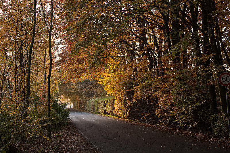 20111031 6772RAw [D~LIP] Golfplatz, Bad Salzuflen