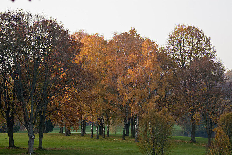 20111031 6769RAw [D~LIP] Golfplatz, Bad Salzuflen