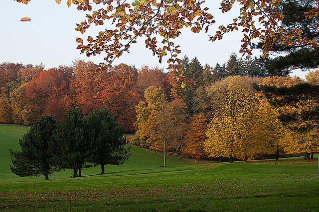 20111031 6767RAw [D~LIP] Golfplatz, Bad Salzuflen