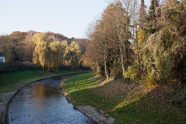 20111112 6899RAw [D~HF] Werre, Herford