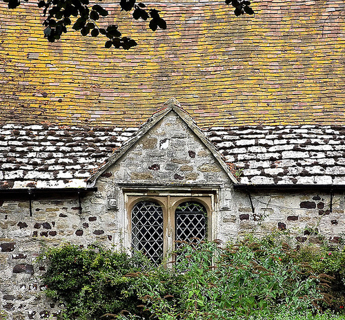 Leaves and tiles