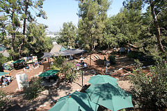 L.A. County Fair (0613)