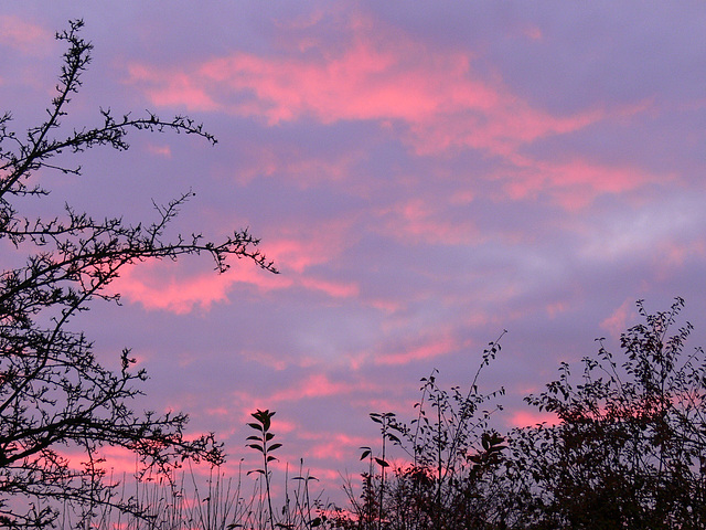 Abendrot Schönwetterbot´