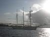 Segelschiff  "Mare Frisium" auf der Elbe