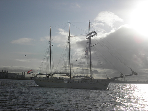 Segelschiff  "Mare Frisium" auf der Elbe