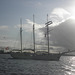 Segelschiff  "Mare Frisium" auf der Elbe