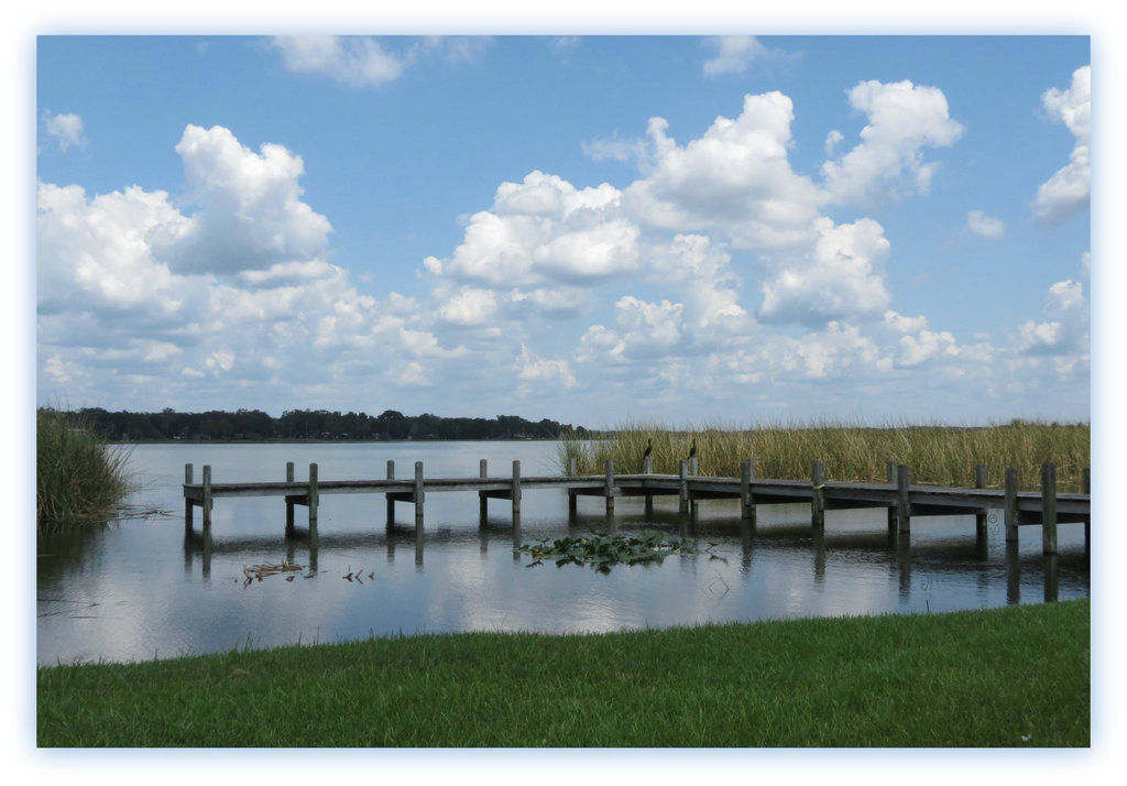 on the dock . .