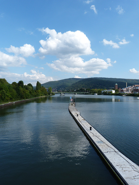 Neckar-Zusammenfluss