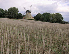 die Rodenberger Windmühle