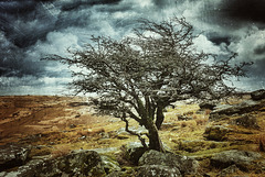 Dartmoor - 20130412 2048-2 1