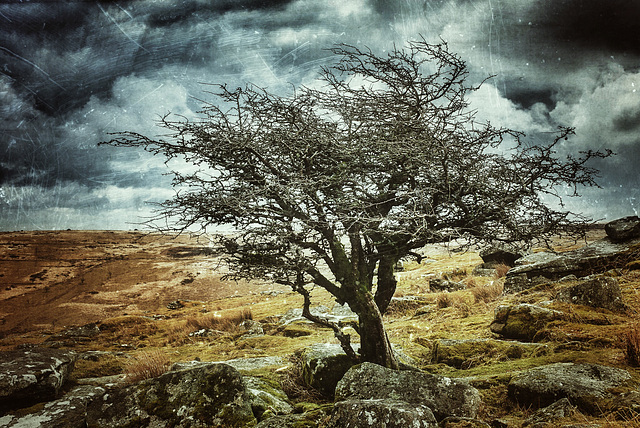 Dartmoor - 20130412 2048-2 1