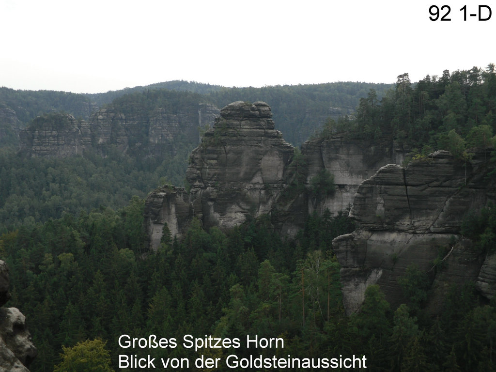 Großes Spitzes Horn