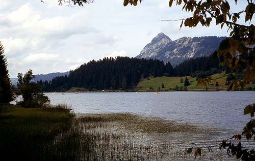 img085