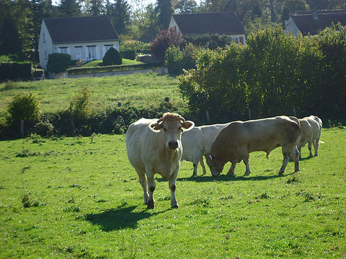 DSC00638