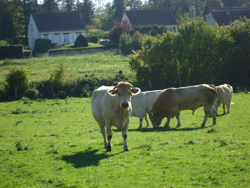 DSC00638