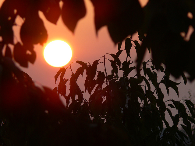 glühende Abendsonne