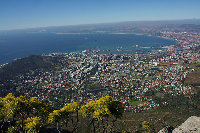 Kapstadt vom Tafelberg