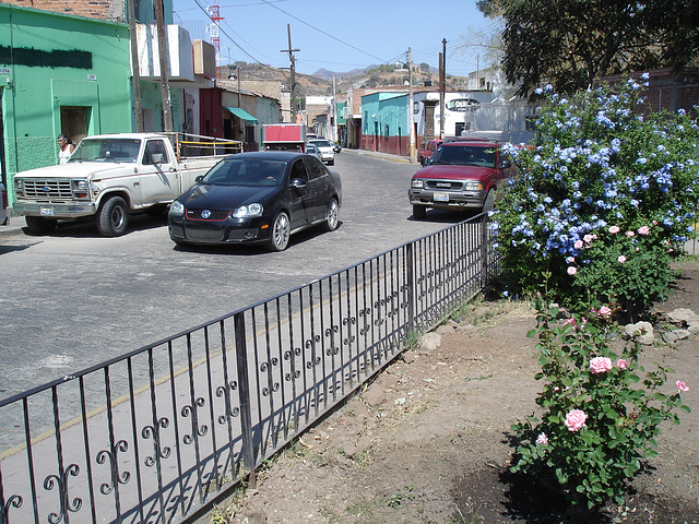 Clôture fleurie / Flowery fence