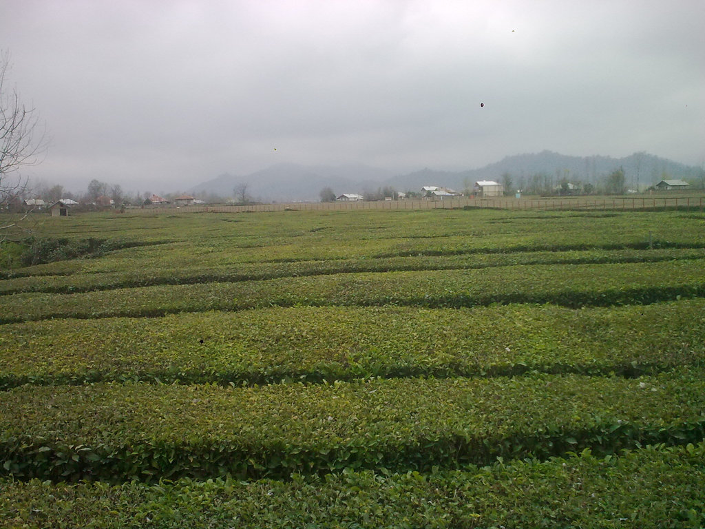 Image0391