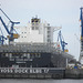Containerschiff  MSC  CHARLESTON im Dock