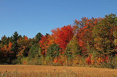 La magie des couleurs