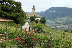 Kurtatsch - Südtirol