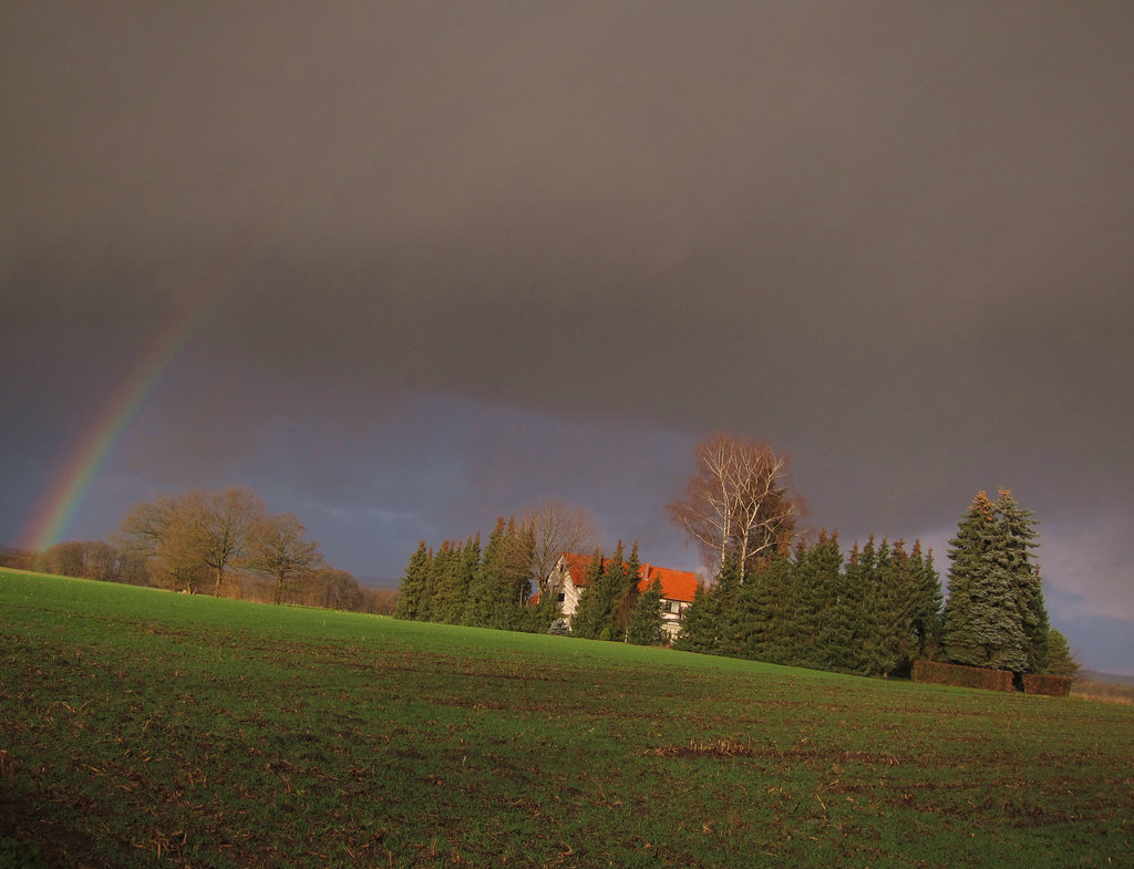 im Münsterland