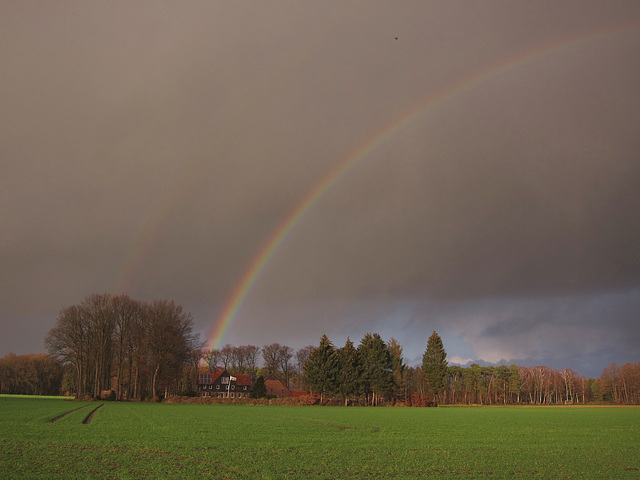 im Münsterland