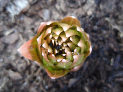 P3190227