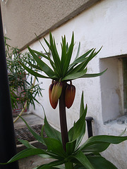 P4010373