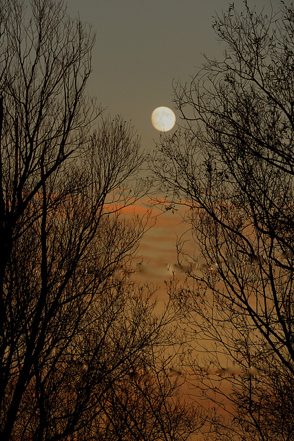 La lune se lève...