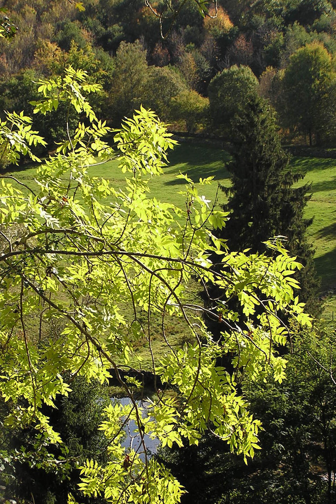 Endroit à l'an vert