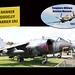 Hawker Siddley Harrier GR3 - Tangmere Museum -  6.8.2014