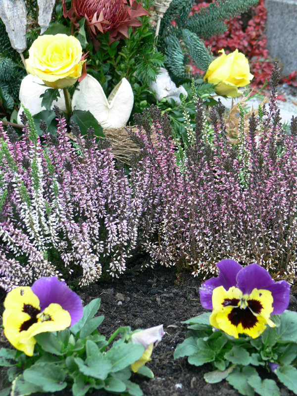 Blumen und Blüten fürs Grab