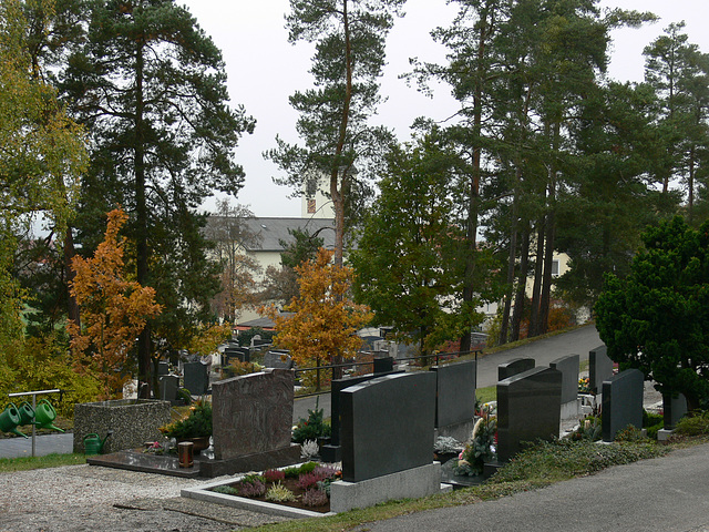 Allerseelenbesuch im Friedhof