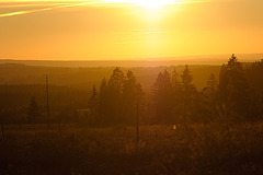 Hautes Fagnes -- Hohes Venn